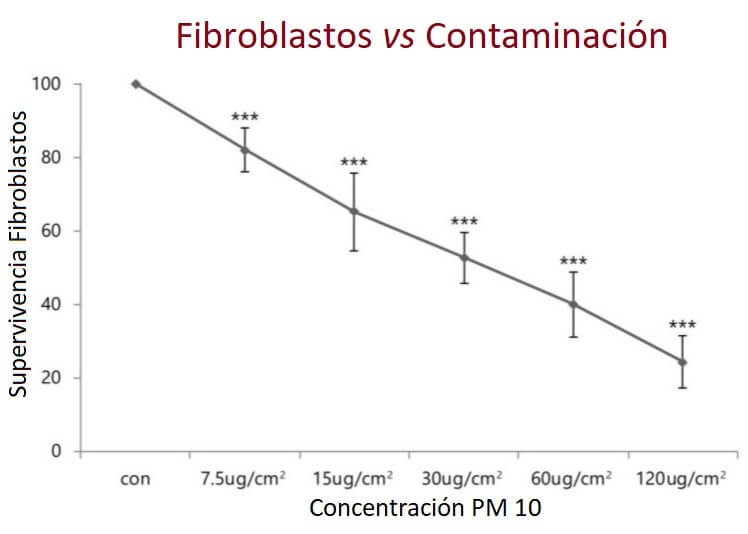 Los fibroblastos se ven muy afectados por la concentración de partículas PM10