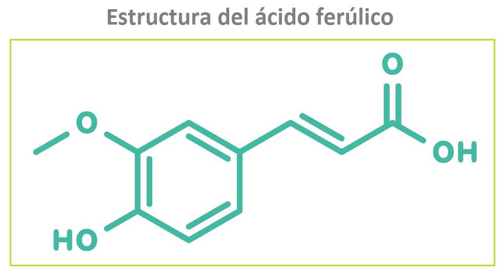 Estructura del ácido ferúlico