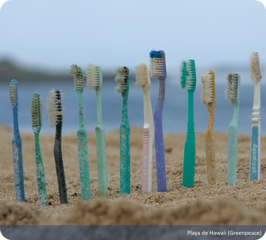 Cepillos de dientes en mares, playas y oceanos