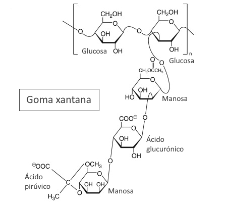 Estructura de la goma xantana